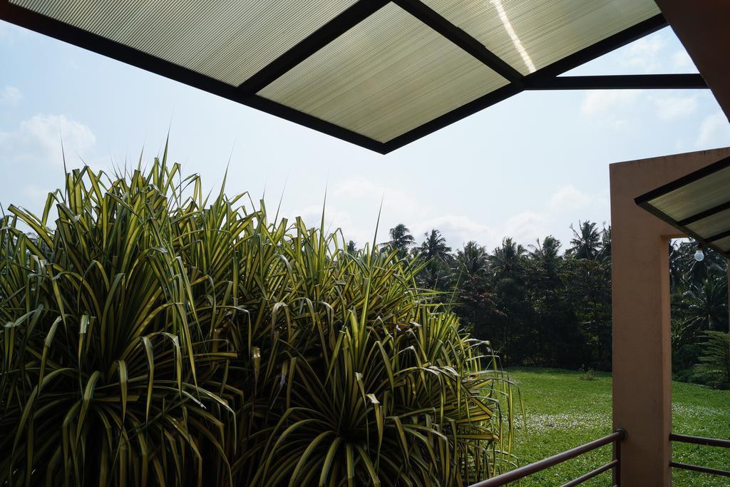 Sri Beach Bungalows And Villa Marawila Eksteriør bilde